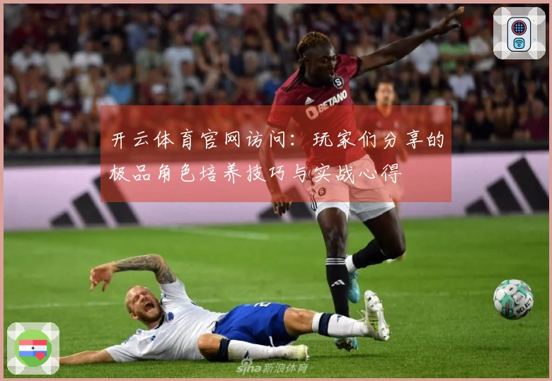 开云体育官网访问：玩家们分享的极品角色培养技巧与实战心得